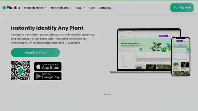 Oberflächenvorschau von Plantin