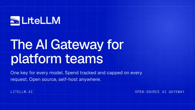 LiteLLM interface preview